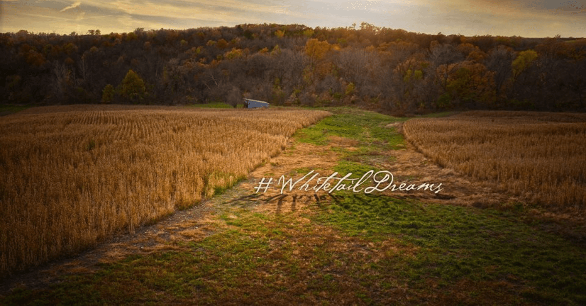 Featured Image for Average Price Per Acre of Hunting Land by Region